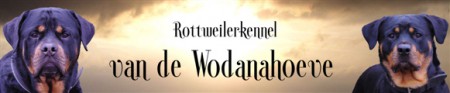 Wodanahoeve Loenen